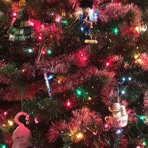 Meet your Posher, Heidi